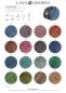 Preview: Farbkarte Vintage Socks 2025